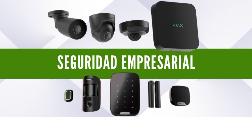 Seguridad empresarial: Cámaras de vigilancia y alarmas para proteger tu negocio en Sevilla